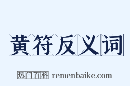 黄符反义词是什么意思的图片